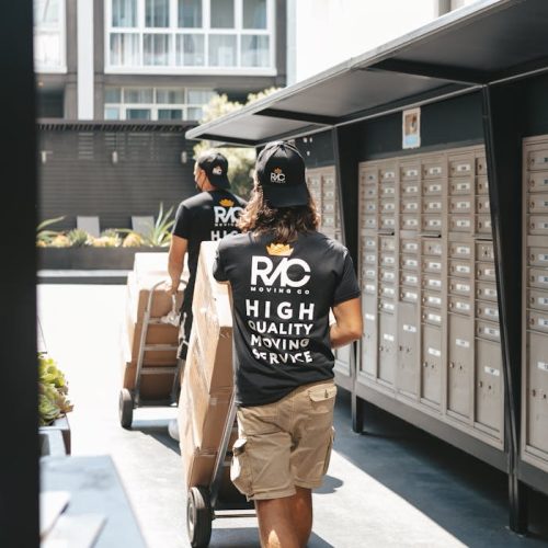 Two movers on city streets with boxes, showcasing urban moving services in daylight.